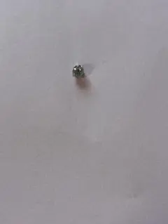 ❤︎ぷにぷゅ❤︎さま専用（2/27まで）