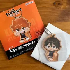 ハイキュー一番くじ G賞烏野アクリルチャーム　山口