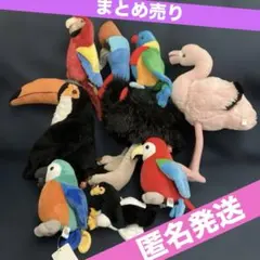 動物園　鳥　ぬいぐるみ　８体　まとめ売り
