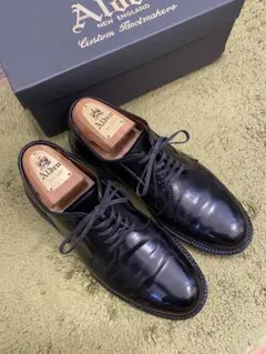 Alden オールデン 【美品】D8402C アルパインカーフ プレーントゥ 8 1  