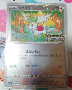 ポケモンカード シェイミ PROMO BW-Pプロモカード 233/BW-P - メルカリ