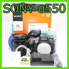 SONY α550☆写真をスマホ転送☆チルト式液晶モニター☆届いてすぐ