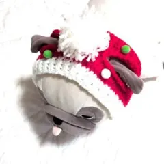 耳出しニット帽 赤×白② フレブル パグ 中型犬