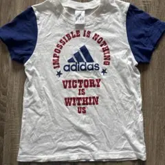 90s USA製 リンガーtシャツ 古着 短丈 プリントtシャツ - メルカリ