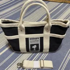 Item thumbnail for item 1b268675-4f07-4700-a5a0-0051d599d6e7