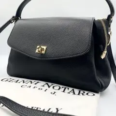 【美品 保存袋有】ジャンニノターロ　デミルクスビームス　コラボ　ショルダーバッグ