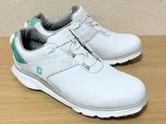 フットジョイ シューズ