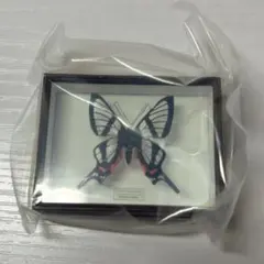 すず様 リクエスト 2点 まとめ商品