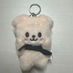 Skzoo スキズー　パピーム　スンミン　10cm straykids