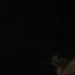 らるげ？様専用