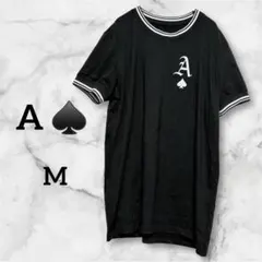 Item thumbnail for item 0048a3f2-a06d-46ef-9aac-a898e8b008f2