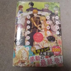 ある日、お姫様になってしまった件について 13