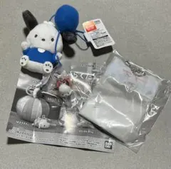 ポチャッコ　カラフルバルーンマスコット めじるしアクセサリー PKG風小物入れのサムネイル