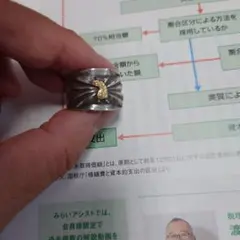 希少‼️あるじゃん 祐天寺 HOOK PIERCE 8m SUN 0G AG - メルカリ