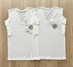 Item thumbnail for item 5007651b-28c2-4b44-a1b8-fbe057633e78