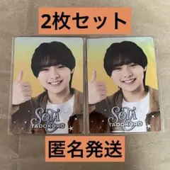 2026年最新】田所蒼大 プロフィールカードの人気アイテム - メルカリ