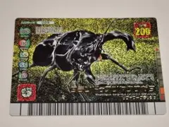 タランドゥスツヤクワガタ