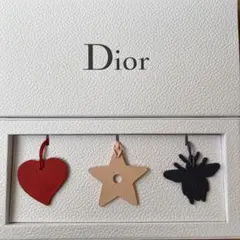 DIOR チャーム