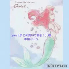 yan【まとめ買いで割引！】様 専用ページです