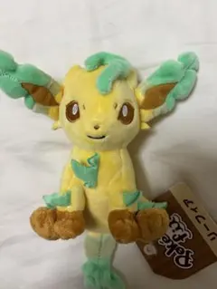 2026年最新】リーフィア ポケモンfitの人気アイテム - メルカリ