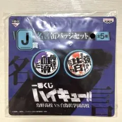 ハイキュー!! 缶バッジ J賞 一番くじ 烏野高校VS白鳥沢学園高校