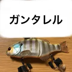 2026年最新】ビッグベイトの人気アイテム - メルカリ