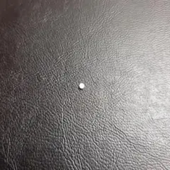 Item thumbnail for item 03bfa5fb-20e2-4ea5-b0c7-0a2f17833d6a