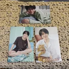 Item thumbnail for item 727ffff5-9109-49d5-b1f1-6c71bce84067