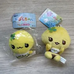 ハニーちゃん　匿名配送　まとめ売り