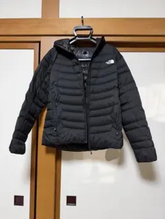 Item thumbnail for item 705952e5-01ce-4802-b323-a16a720a6e3d