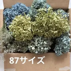 ☆訳あり　あじさいとアナベルのドライフラワー　カスミ草おまけ付　87サイズ　⑦のサムネイル
