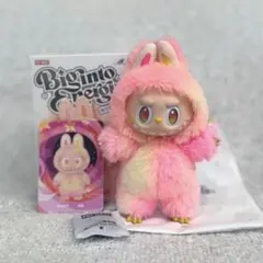 〖正規品 美品〗labubuラブブ Biginto Energy LOYALTY