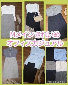 Mサイズ メイン オフィスカジュアルセット コーディネート　きれいめ　フェミニン