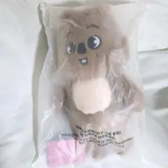 スキズ ペンミ 韓国 テディベア ハン クオッカ