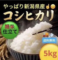 【新潟県産】コシヒカリ5キロ　令和7年産　精米時期令和8年6月　送料無料のサムネイル
