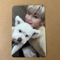 ZB1 ゼベワン NEVERSAYNEVER デジパ レオ トレカ テレ