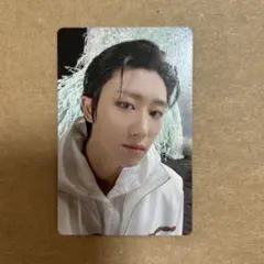 seventeen sector17 new heights the8