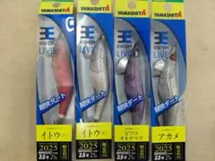 YAMASHITA エギ王 LIVE 2026 4種セット 海洋生物 - メルカリ