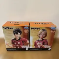 ハイキュー!! 黒尾鉄朗 孤爪研磨 ハイプレミアムフィギュア 2体セット 送料込