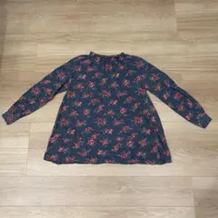 Item thumbnail for item 5e980cc7-8658-4a69-be9f-dbda6d9bfb55