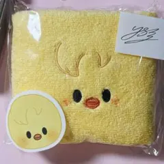straykids ペンミ stayzone 入場特典 ハンドタオル ポガリ - メルカリ