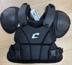 Item thumbnail for item 876734af-8a16-4b15-ad05-b9f5915a47d2