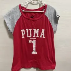 キッズTシャツPUMA Tシャツ 130cm レッド×グレー