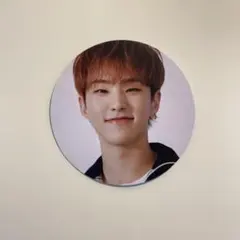 SEVENTEEN セミコロン ホシ