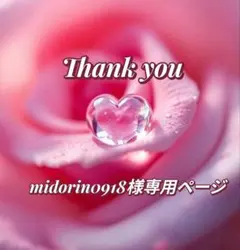 midorin0918様専用ページ