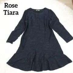 2026年最新】ローズティアラ42の人気アイテム - メルカリ