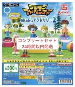 デジモン アドベンチャー　めじるしアクセサリー2 コンプリートセット②