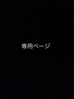 ヴェル様専用　空箱　ソウメイ 銀3箱セット　Soumei ボックス　箱のみ