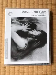 Item thumbnail for item 654b60c3-8d0a-4c6a-b85c-ef103a4fc890