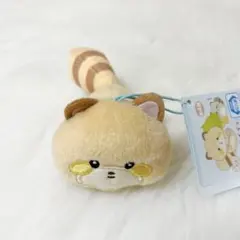 サンエックス ココロアライグマ マスコット